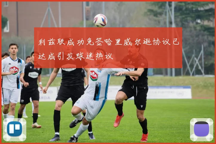 利兹联成功免签哈里威尔逊协议已达成引发球迷热议